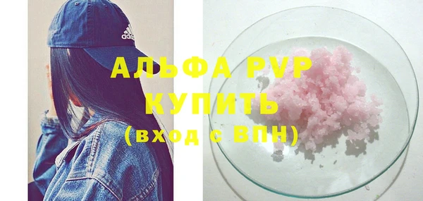 прущие грибы Кинешма