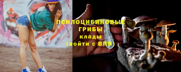 хмурый Киреевск