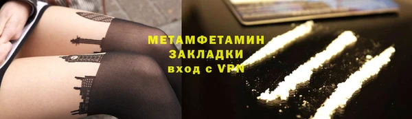 прущие грибы Кинешма