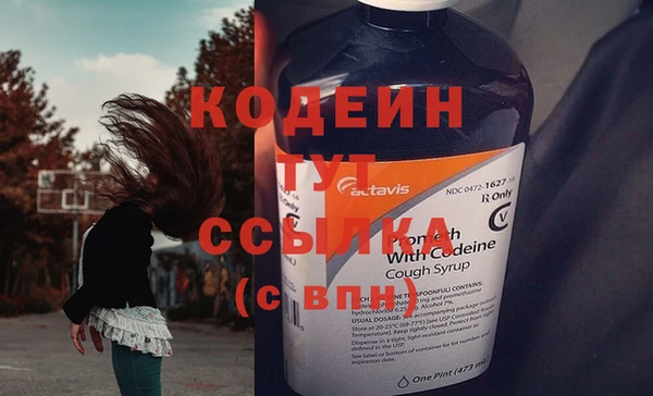 прущие грибы Кинешма