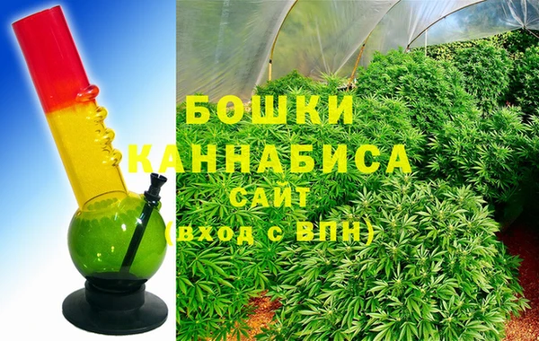 прущие грибы Кинешма