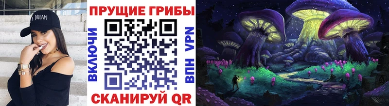 Купить где  Верхоянск  Галлюциногенные грибы Cubensis 